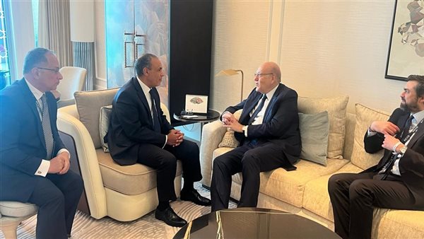 وزير الخارجية يستقبل