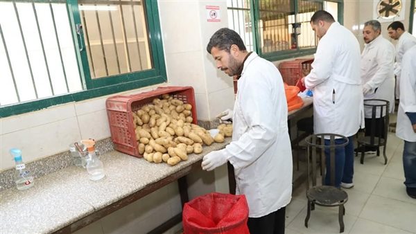 مكافحة العفن البني