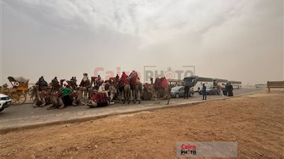 السياحة: منطقة أهرامات الجيزة استقبلت أمس 15 ألف زائر