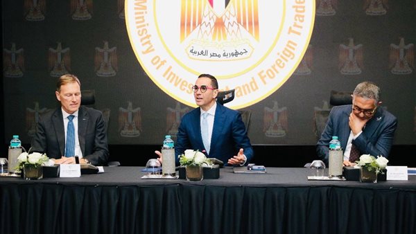 وزير الاستثمار