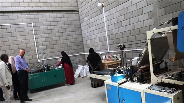 محافظ أسوان