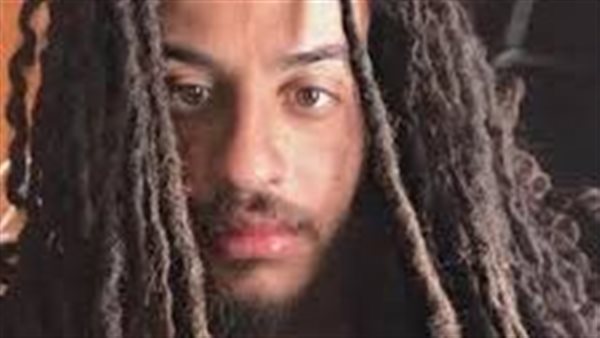 التيك توكر الرسام