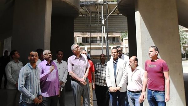 محافظ أسوان