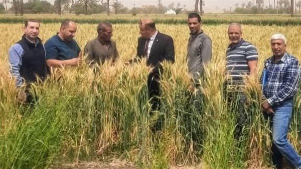  استعدادات استقبال