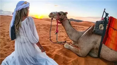 جمل يعض سائحة أمريكية داخل مدرسة بالجيزة