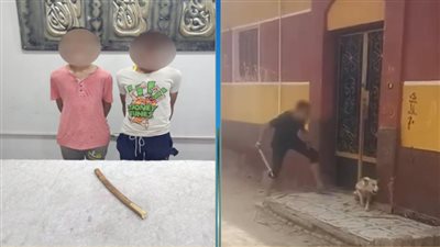 القبض على المتهم بالتعدي على كلب لكثرة نباحه وتصويره لزيادة المتابعين بالجيزة 