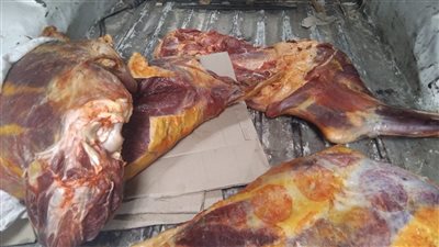 ضبط 329 كجم لحوم غير صالحة للاستهلاك بدسوق في كفر الشيخ