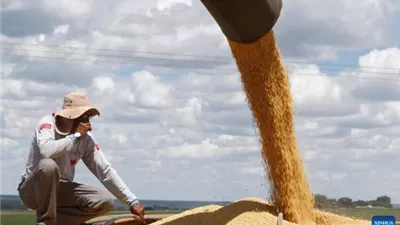 الصين تتجه لفول الصويا البرازيلي مع تصاعد الحرب التجارية