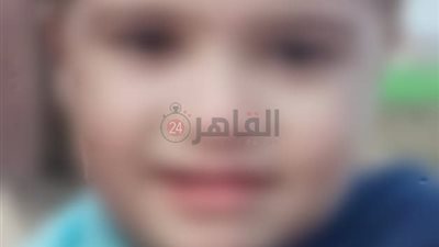 التحفظ على سيارة ديزل كهرباء بعد وفاة صغير تحت عجلاتها بالمنوفية