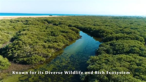 محميات البحر الأحمر