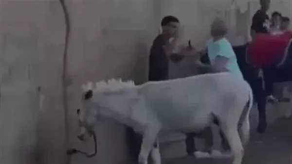 تعدي سائحة هولندية