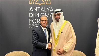 وزير الخارجية يبحث مع نظيره الكويتي مستجدات الحرب على غزة