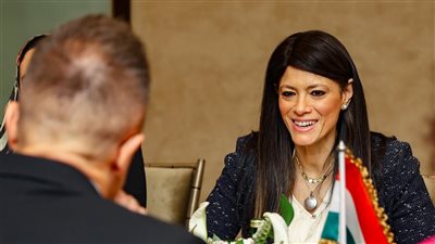 المشاط: الحكومة تعمل على تهيئة بيئة الاستثمار.. وتبسيط الإجراءات لتوسيع نطاق الاستثمارات الأجنبية 