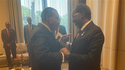 وزير الخارجية يؤكد وقوف مصر إلى جانب الصومال في مواجهة الإرهاب والتطرف ودعم وحدة الأراضي 