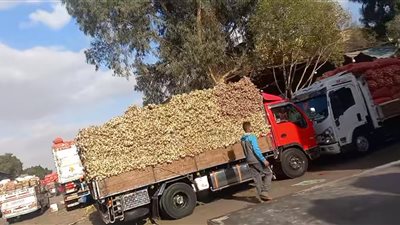 أحمد الزيني: تكلفة النقل البري للبضائع 5 قروش للكيلو.. والشعبة بريئة من ارتفاع أسعار السلع بحجة البنزين