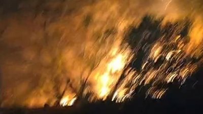 السيطرة على حريق في مزرعة دواجن بالدقهلية 