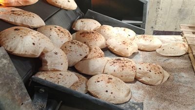 حال تعطل الشبكة.. إجراءات عاجلة من شعبة المخابز لتوزيع الخبز غدًا