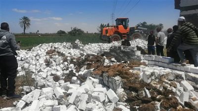 إزالة 278 حالة تعدٍ على الأراضي الزراعية وأملاك الدولة بالمنيا