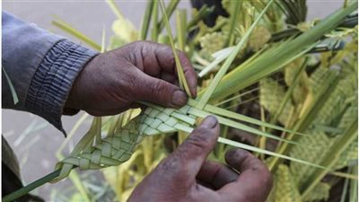 بـ 150 جنيهًا.. أسعار الزعف خلال الاحتفال بأحد الشعانين تثير الجدل عبر السوشيال ميديا