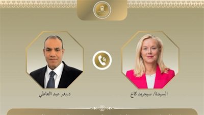 وزير الخارجية يشدد على أهمية تكثيف دعم المجتمع الدولي والمنظمات الأممية للفلسطينيين