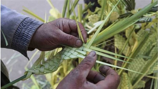 أسعار الزعف خلال