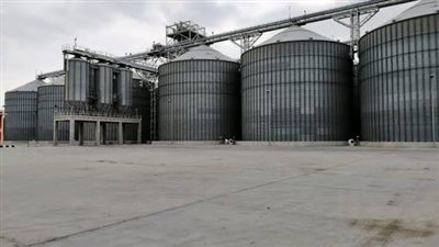  المزارعون يواصلون توريد القمح ضمن موسم الحصاد الحالي بصوامع أسوان