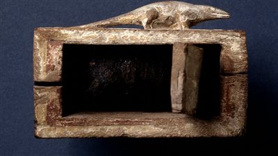 متحف أمستردام يعرض تابوت به مومياء نمس من العصر المتأخر| صور 