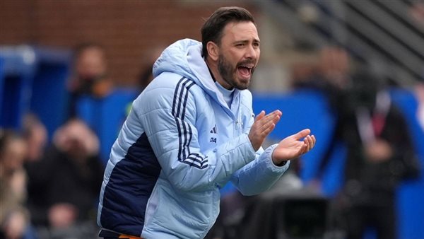 دافيد انشيلوتي