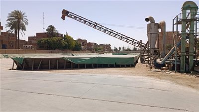 تموين الأقصر تطلق موسم توريد القمح المحلي بسعر 2200 جنيه للأردب