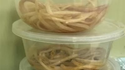 طفل بعمر الثلاث سنوات يتقيأ 