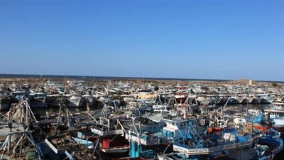 الثروة السمكية تبدأ تطبيق قرار وقف الصيد في البحر الأحمر غدًا | بث مباشر