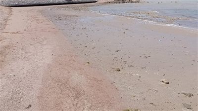 بسبب المد والجزر.. تراجع مياه شواطئ الغردقة لعدة أمتار| صور