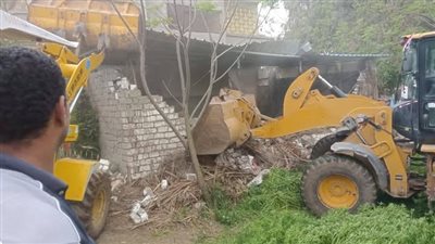 إزالة 19 حالة تعد ضمن المرحلة الثالثة من الموجة الـ 25 بالبحيرة