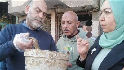 ضبط 3 أطنان أسماك ولحوم مجهولة المصدر.. وتحرير 220 محضرًا تموينيًا بالمنوفية 