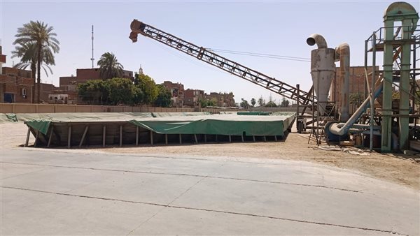 توريد القمح بالأقصر