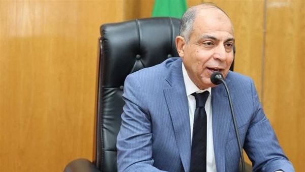 محافظ المنيا