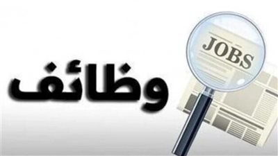 محافظة بورسعيد تعلن توفير 147 فرصة عمل جديدة لشباب الخريجين.. طريقة التقديم 