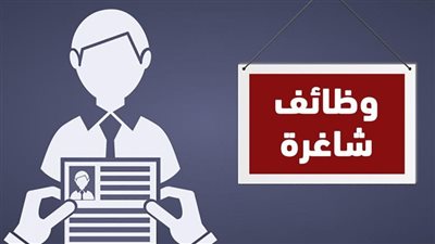 وظائف شاغرة اليوم في مصر.. 6 مؤسسات تفتح التقديم حتى منتصف مايو 2025