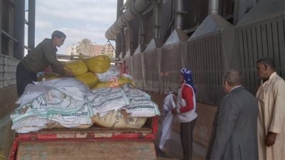 محافظ المنوفية يعلن بدء موسم توريد القمح بـ 13 موقعا تخزينيا