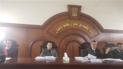 طعنوه 24 طعنة.. تأجيل محاكمة 9 أشخاص قتلوا شابًا أخذا بالثأر في البحيرة