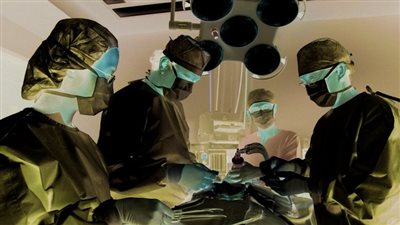 نجاح أول عملية زراعة كلية خنزير معدلة وراثيًا لـ مريض بالفشل الكلوي