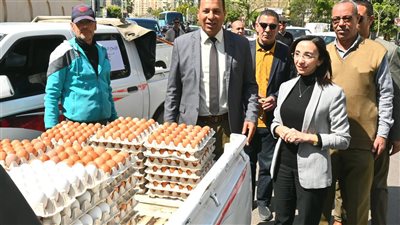 اليوم.. إطلاق قافلة تضم 9 سيارات لحوما بلدية ومواد غذائية وبيض مائدة بالبحيرة