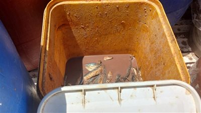 قبيل شم النسيم.. ضبط نصف طن فسيخ وأسماك فاسدة داخل مخزن غير مرخص جنوب الأقصر