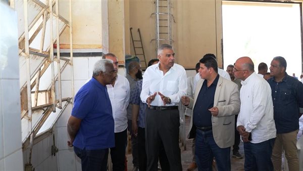 محافظ أسوان