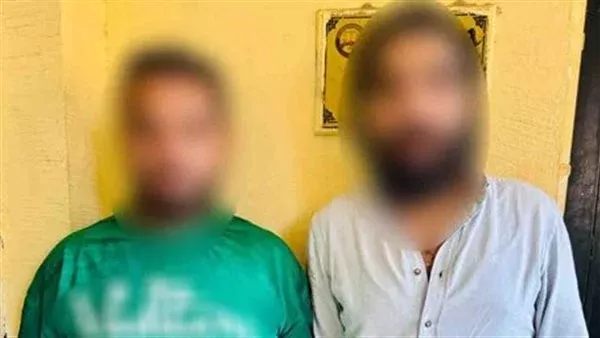 مرتكبا الواقعة 