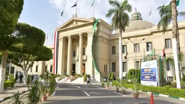 طب قصر العيني