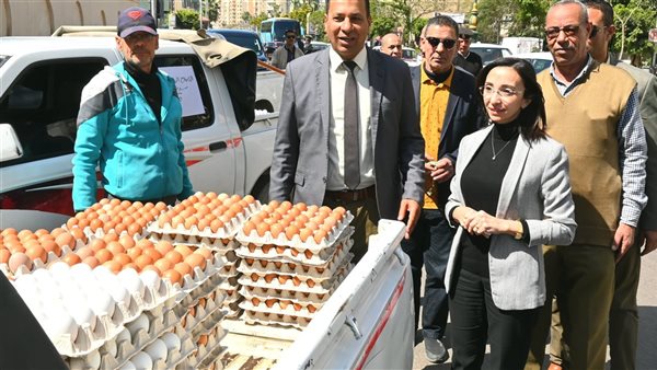 قافلة بيض المائدة