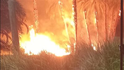 مصرع 3 أشخاص في حريق بمخزن خردة بالدقهلية