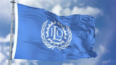 منظمة العمل الدولية: مصر صادقت على 65 اتفاقية دولية.. وصدور قانون العمل يعزز العدالة الاجتماعية