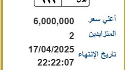 هـ ن 222.. لوحة مرور مميزة في مصر بسعر يصل إلى 6 ملايين جنيه